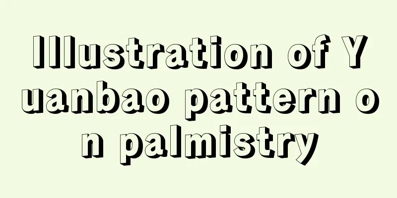 Illustration of Yuanbao pattern on palmistry