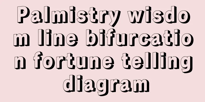 Palmistry wisdom line bifurcation fortune telling diagram