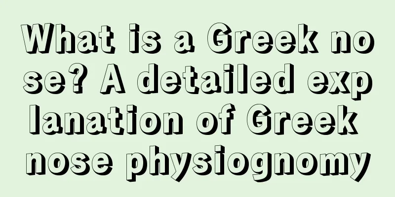What is a Greek nose? A detailed explanation of Greek nose physiognomy
