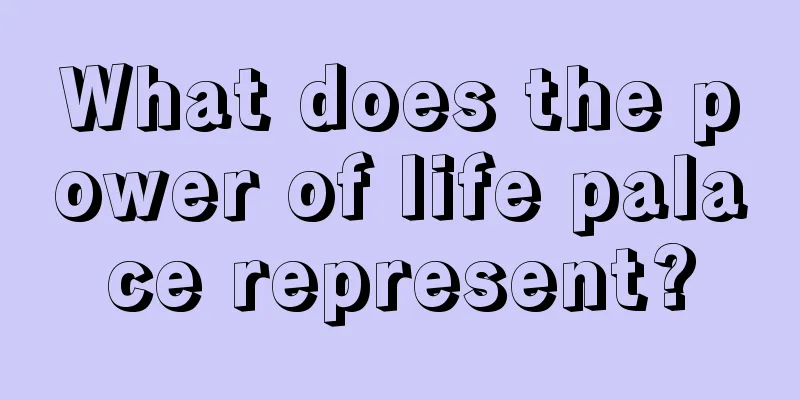 What does the power of life palace represent?