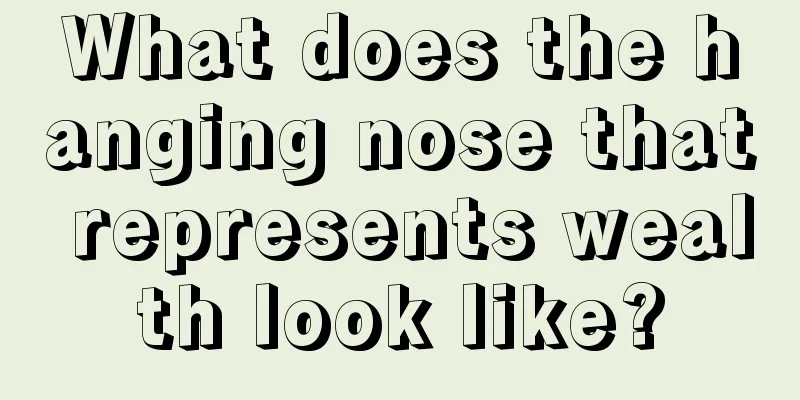 What does the hanging nose that represents wealth look like?