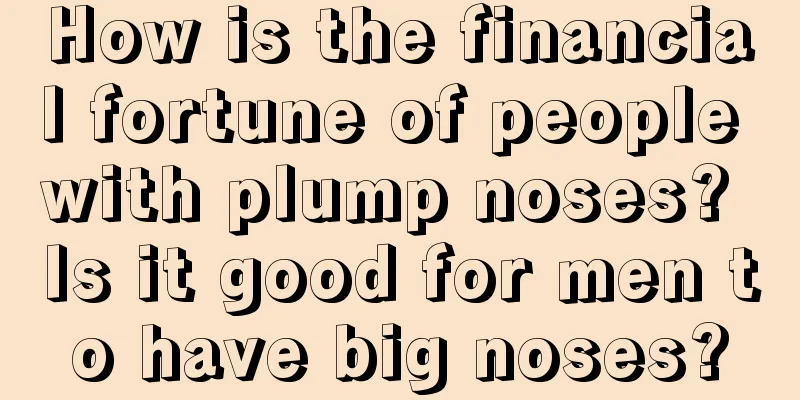 How is the financial fortune of people with plump noses? Is it good for men to have big noses?
