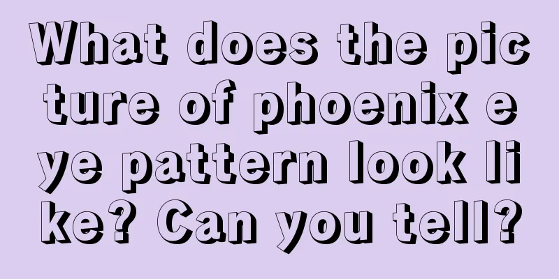 What does the picture of phoenix eye pattern look like? Can you tell?