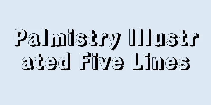 Palmistry Illustrated Five Lines