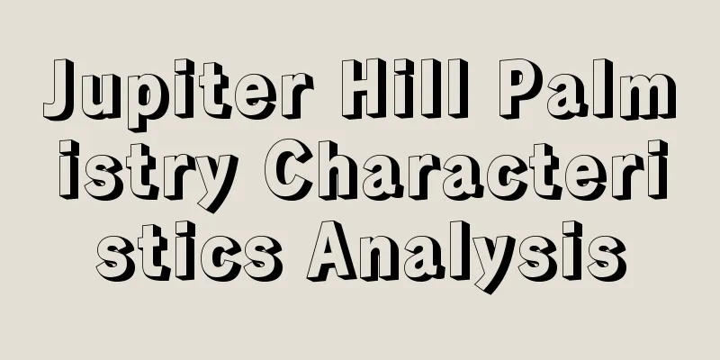 Jupiter Hill Palmistry Characteristics Analysis