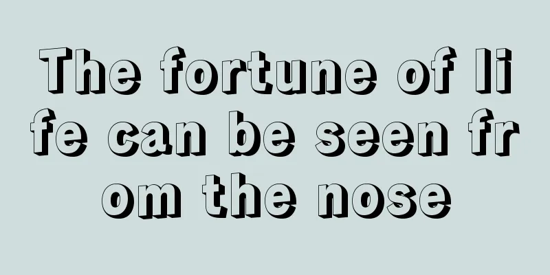 The fortune of life can be seen from the nose