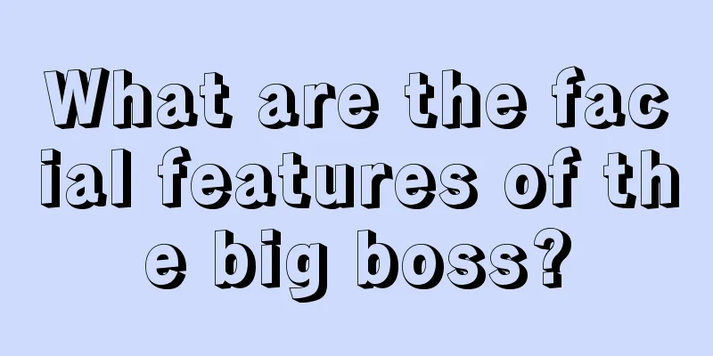 What are the facial features of the big boss?