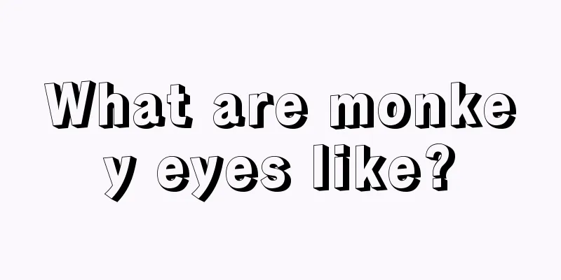 What are monkey eyes like?