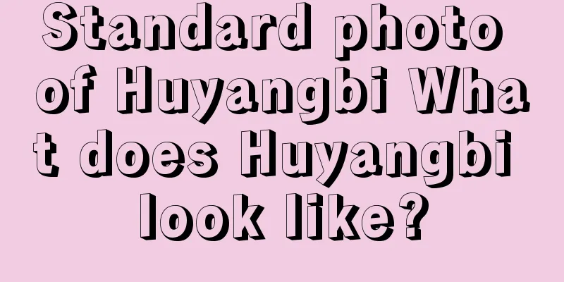 Standard photo of Huyangbi What does Huyangbi look like?