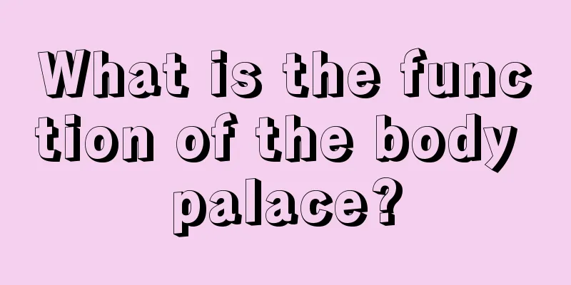 What is the function of the body palace?