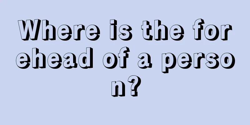 Where is the forehead of a person?