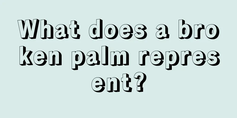 What does a broken palm represent?