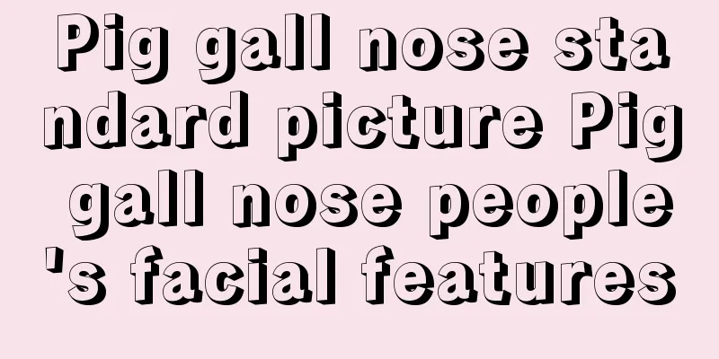 Pig gall nose standard picture Pig gall nose people's facial features