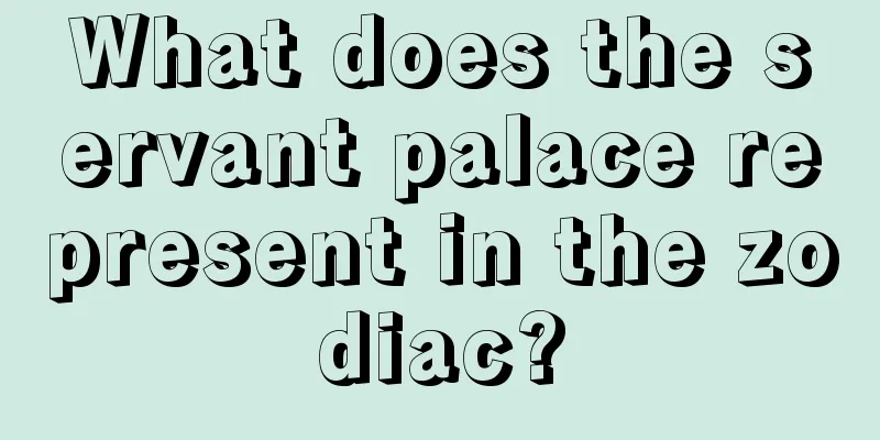 What does the servant palace represent in the zodiac?