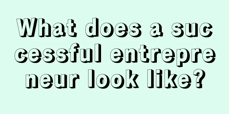 What does a successful entrepreneur look like?