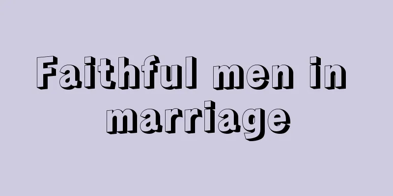 Faithful men in marriage