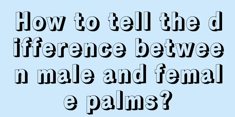 How to tell the difference between male and female palms?