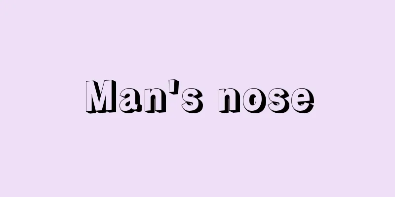 Man's nose