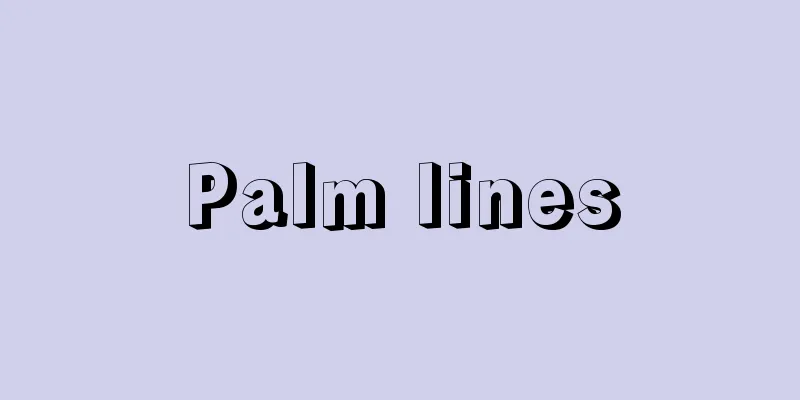Palm lines