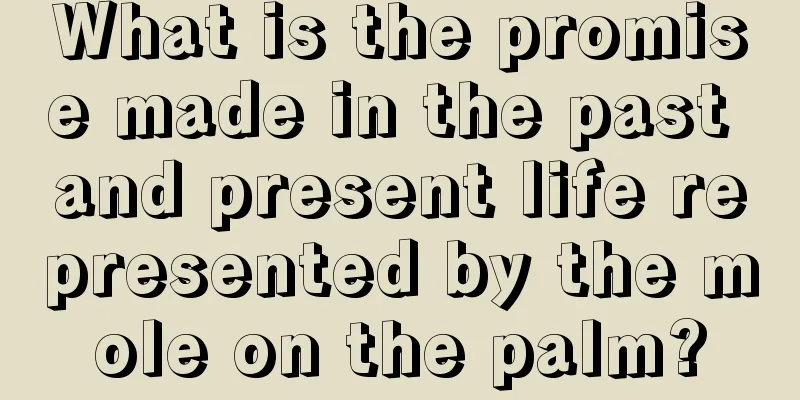 What is the promise made in the past and present life represented by the mole on the palm?