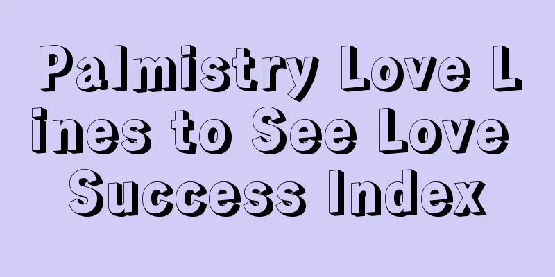Palmistry Love Lines to See Love Success Index
