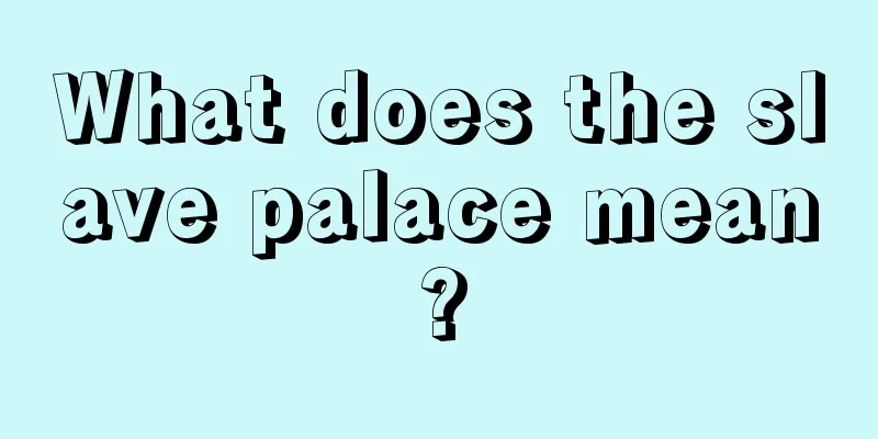 What does the slave palace mean?