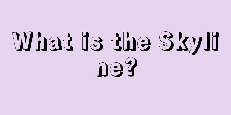 What is the Skyline?