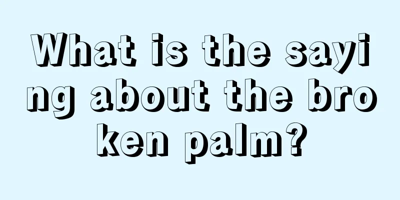What is the saying about the broken palm?