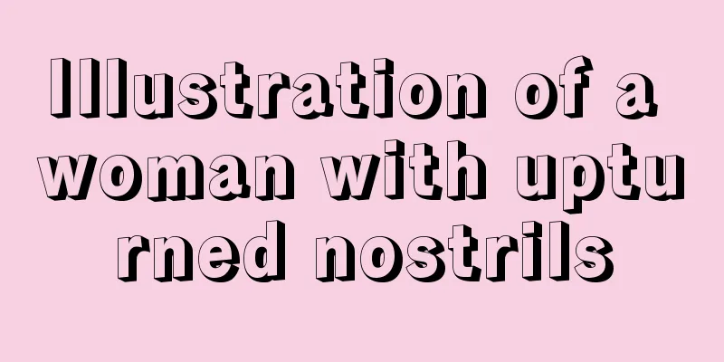 Illustration of a woman with upturned nostrils