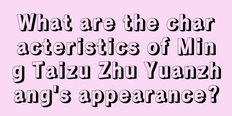 What are the characteristics of Ming Taizu Zhu Yuanzhang's appearance?