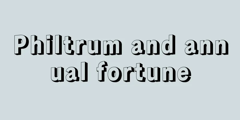 Philtrum and annual fortune