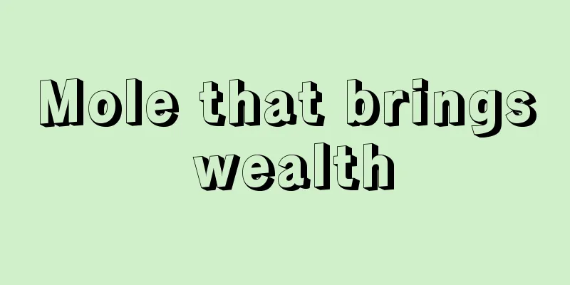 Mole that brings wealth