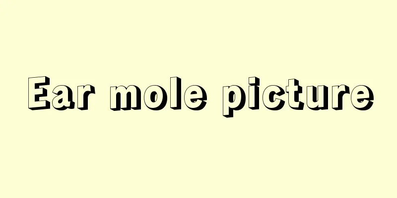 Ear mole picture