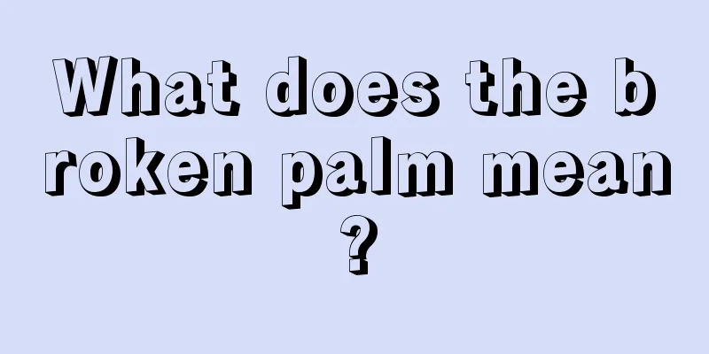 What does the broken palm mean?