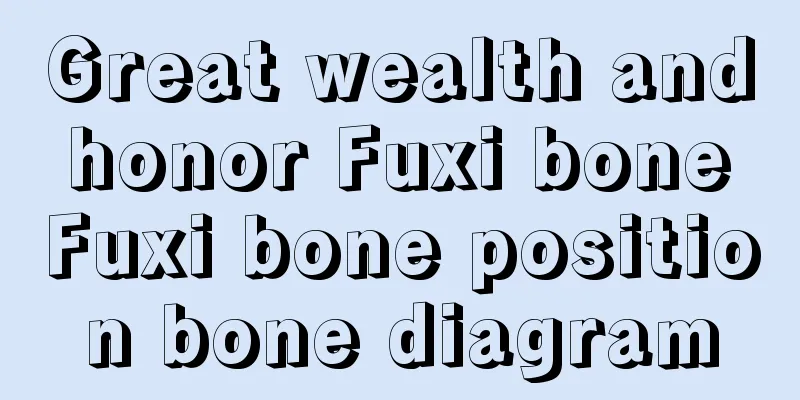 Great wealth and honor Fuxi bone Fuxi bone position bone diagram