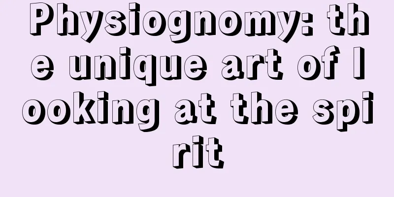 Physiognomy: the unique art of looking at the spirit