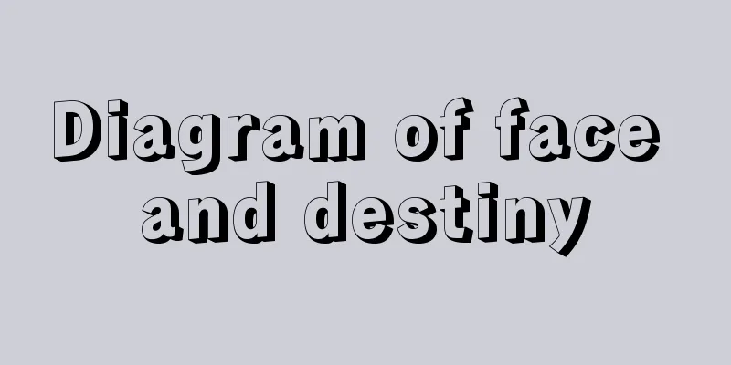 Diagram of face and destiny
