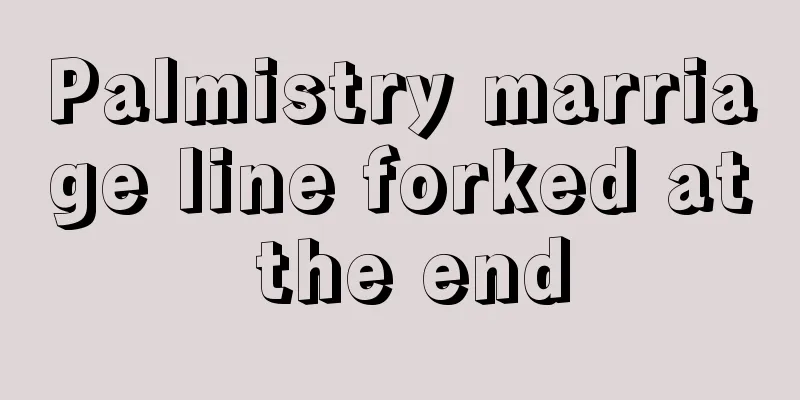 Palmistry marriage line forked at the end
