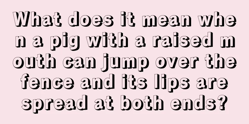 What does it mean when a pig with a raised mouth can jump over the fence and its lips are spread at both ends?