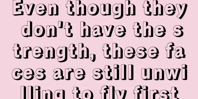 Even though they don't have the strength, these faces are still unwilling to fly first
