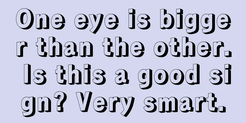 One eye is bigger than the other. Is this a good sign? Very smart.
