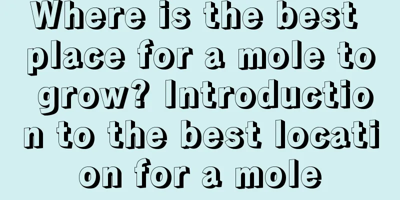 Where is the best place for a mole to grow? Introduction to the best location for a mole