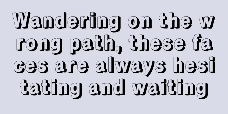 Wandering on the wrong path, these faces are always hesitating and waiting