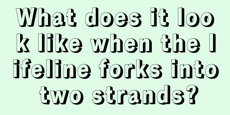 What does it look like when the lifeline forks into two strands?