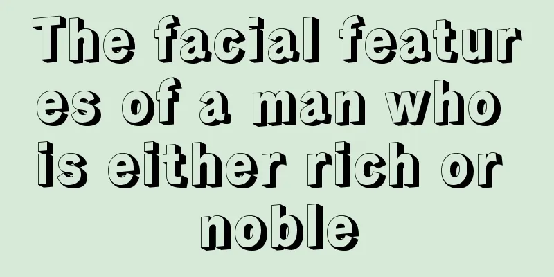 The facial features of a man who is either rich or noble
