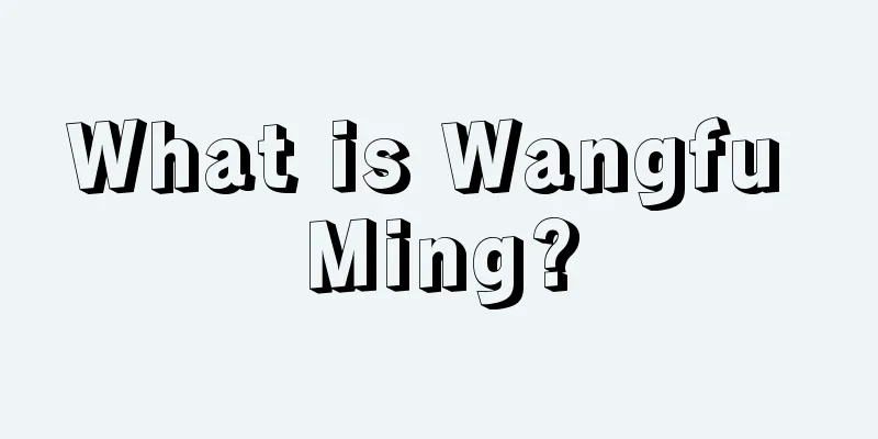 What is Wangfu Ming?