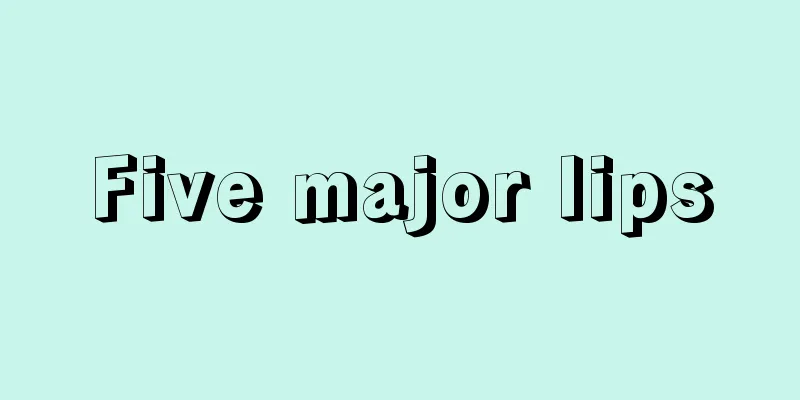 Five major lips