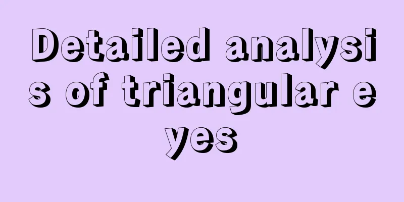 Detailed analysis of triangular eyes