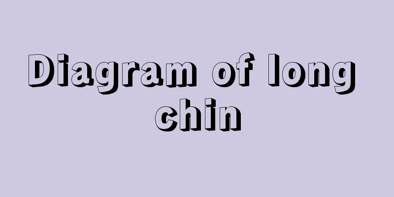 Diagram of long chin