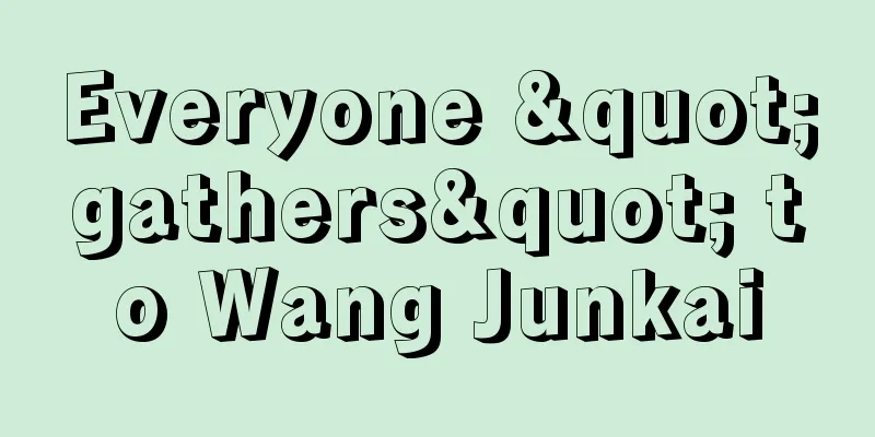 Everyone "gathers" to Wang Junkai